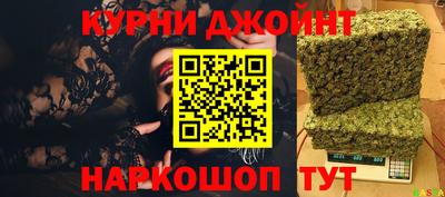 jwh Кингисепп