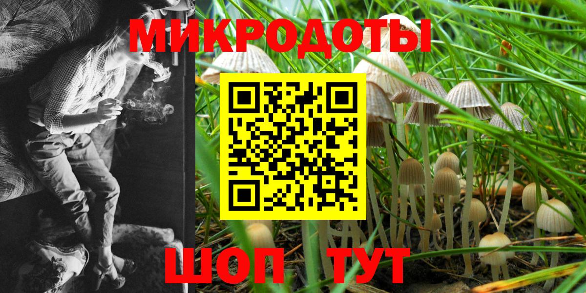 Кохма  Псилоцибиновые грибы Psilocybe  Вход с VPN 